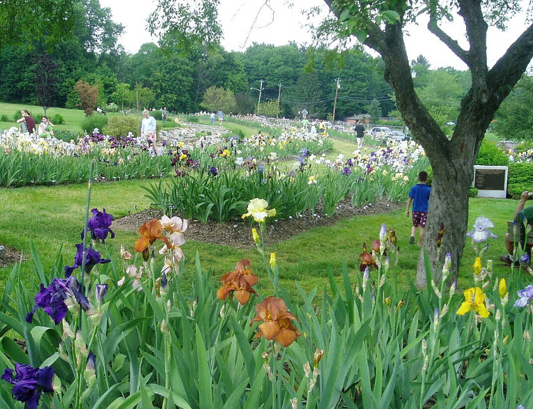 Presby Iris Gardens, United States